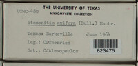Image Associated With the Occurence